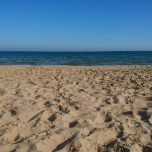 Summer Tide Summer Tide